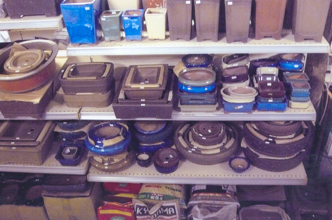 Selection of Bonsai Pots